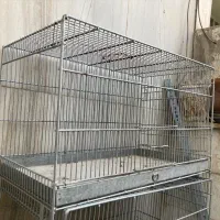 قفس پرنده