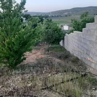 باغچه ۱۰۰۰متری خانزنیان سادات اباد|فروش دفتر صنعتی، کشاورزی، تجاری|شیراز, بازار|دیوار