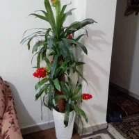 درختچه مصنوعی