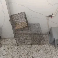 قفس پرنده