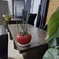بازاریاب و فروشنده خانم