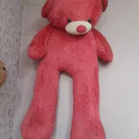 شاسخین* old * big