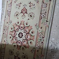 پادری در حد نو