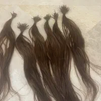 مو طبیعی شاخه ایی اکستنشن
