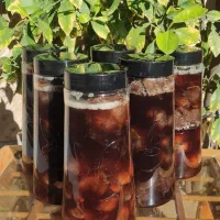 سیر ترشی کاملا طبیعی