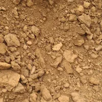 مصالح