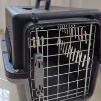 2عدد باکس گربه
