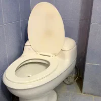 روشور و فرنگی و شیرالات