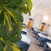 استخدام ظرفشور رستوران