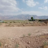 15قصب-زمین-درمحی-اباد