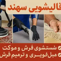 قالیشویی و مبل شویی سهند