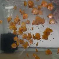 دیسکس ۱ اینچ