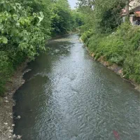 09129051061