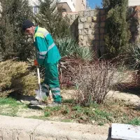 نیازمند نیروی فضای سبز