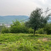 زمین