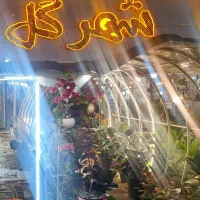 جذب نیرو (شهر گل رشت)