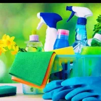 شرکت خدماتی نظافتی دسته گل اعزام نیروی آقا و خانم.