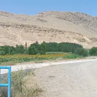 زمین-زراعی