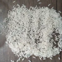 برنج هاشمی سورتینگ شده