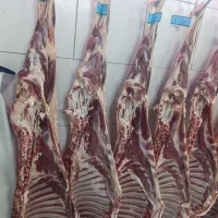 فروش ویژه گوشت شیشک (کالابرگ فعال)