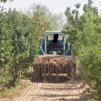 اجاره وخدمات بابکت (مینی لودر) سطح شهر
