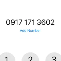 9171713602