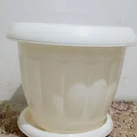 گلدان پلاستیکی