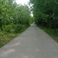 15-هزار-متر-زمین-مناسب-بومگردی