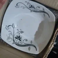 ظروف چینی