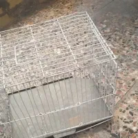 قفس پرنده