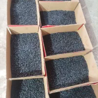 کشمش مویز شانی