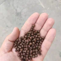 غذا ماهی شناور اوکستورود