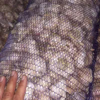سیر خشگ درشت دشت مغان