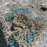 لنگه  جادار