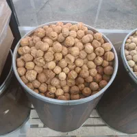 فروش انواع لیموعمانی لوکس مصری سودانی سیاه واسلایس