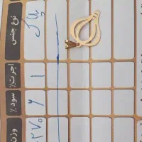 پلاک زنجیرحلقه گوشواره