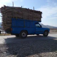 خرید انواع چوب