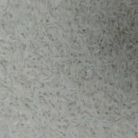 برنج دم‌سیاه  مینودشت