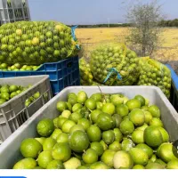 هرکی نیاز به نیروی برای کارخانم تماس بگیره
