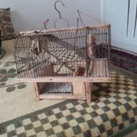 تله سهره