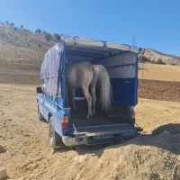 (اسبکش)  اسب کش