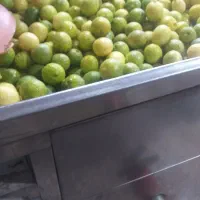 لیمو ابگیری شیراز پوست نازک بدون تلخی