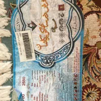 700شانه