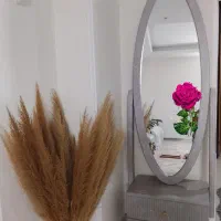 آینه قدی ایستاده