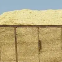 کاه گندم