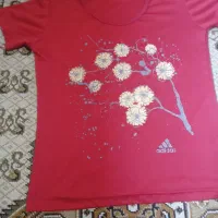لباس|لباس|رشت, دباغیان|دیوار