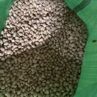 لوبیا چیتی درجه یک بهترین کیفیت قیمت عمده