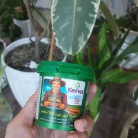 قرص کود برای گلدان