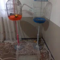 قفس سالم مرتب مفت
