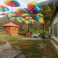 آشپز حرفه ایی و کارگر ساده